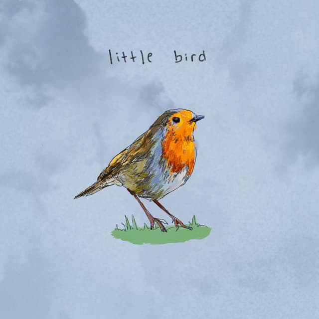 Artwork for little bird
